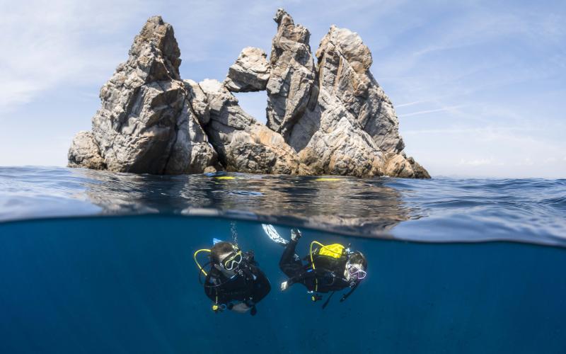 Plongée sous-marine tout niveau