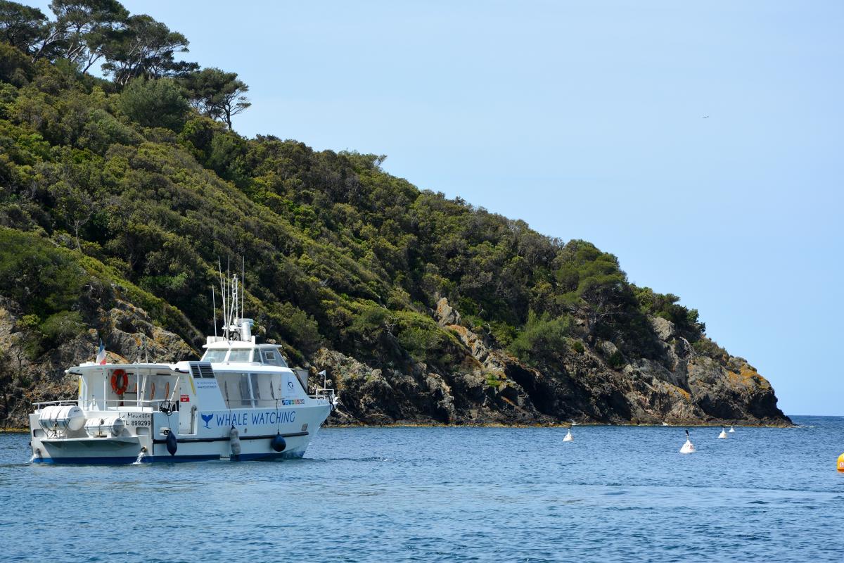 Cap sur Porquerolles