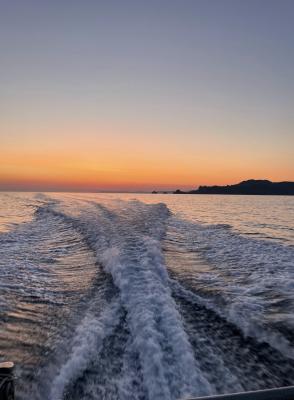 Porquerolles et ses plages