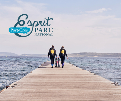 Baptême de plongée sous marine sur le sentier des Amphores + visite du fort du Pradeau