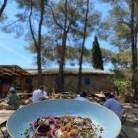  Repas à la Fondation Carmignac à Porquerolles