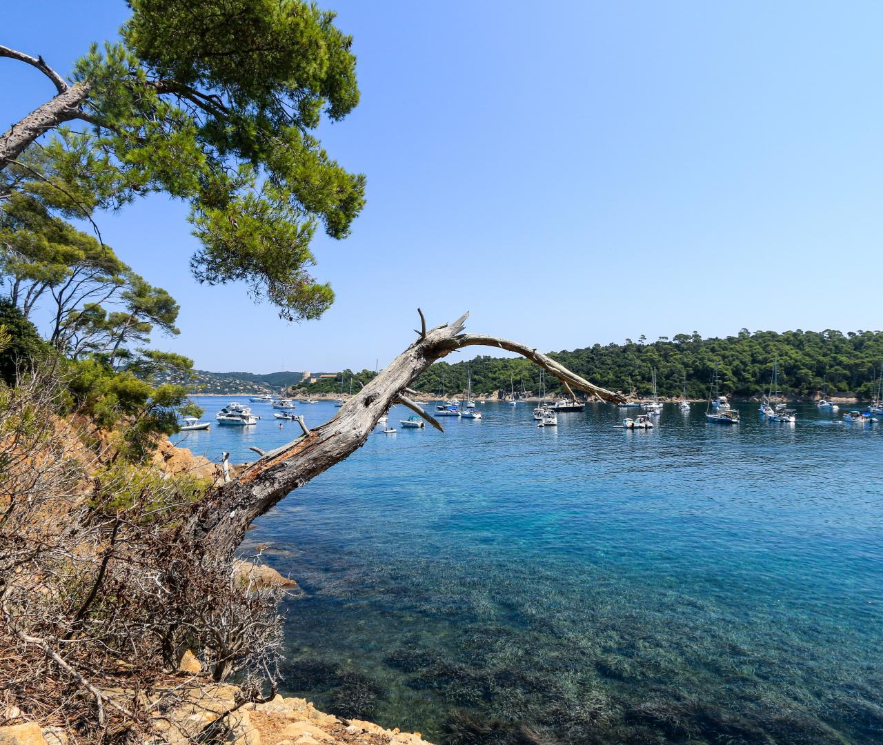 Départ: Port d'Hyères