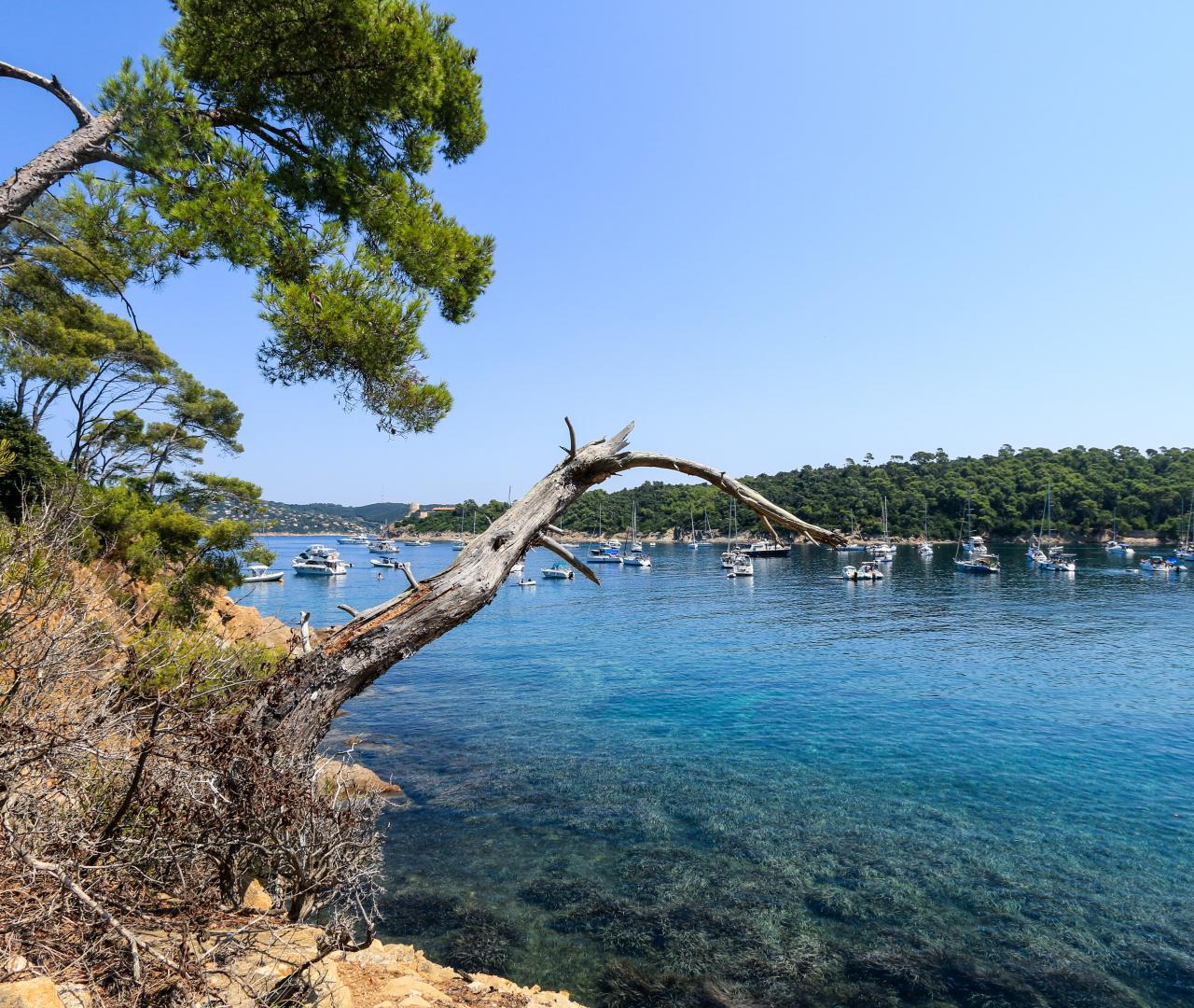 Départ: Port du Lavandou